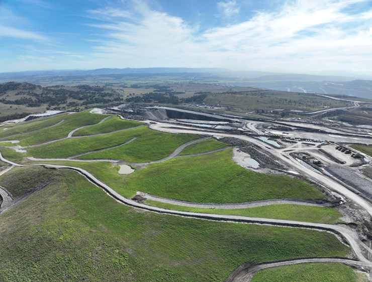 Mt Arthur Rehabilitation and Land Management